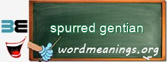WordMeaning blackboard for spurred gentian